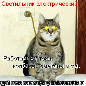 Котоматрица: Светильник электрический. Работает от тока, колбасы, сметаны и т.д.