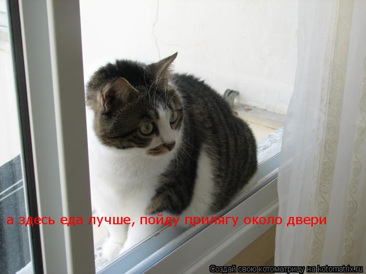 Котоматрица: а здесь еда лучше, пойду прилягу около двери