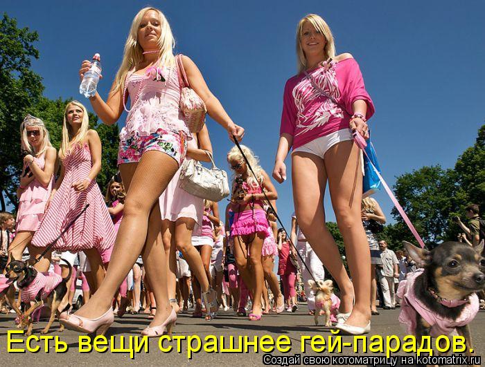 Есть вещи страшнее гей-парадов.... Котоматрица: Есть вещи страшнее гей-парадов.