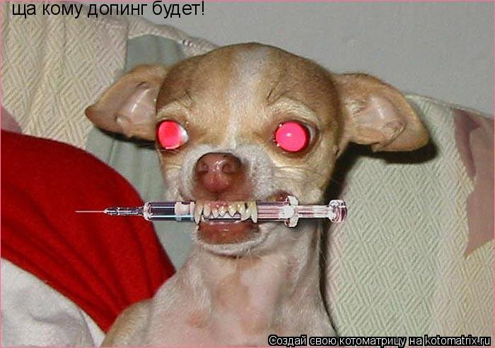 Котоматрица: ща кому допинг будет!