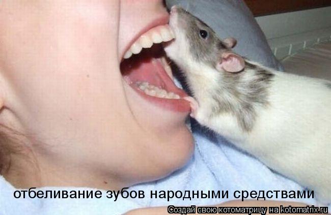 Котоматрица: отбеливание зубов народными средствами