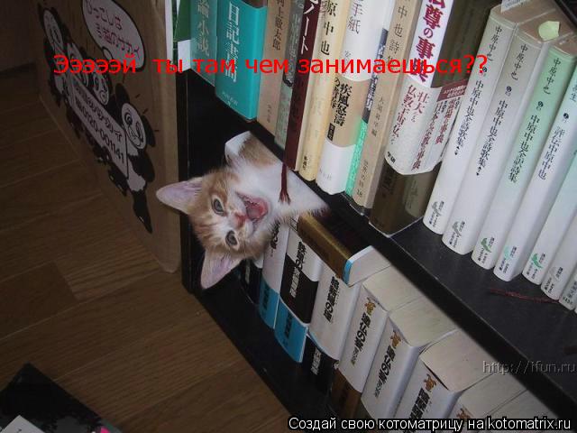 Котоматрица: Эээээй  ты там чем занимаешься??