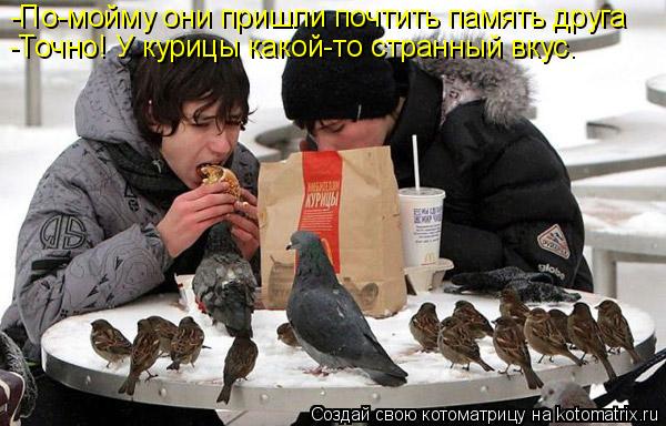 Котоматрица: -По-мойму они пришли почтить память друга -Точно! У курицы какой-то странный вкус.