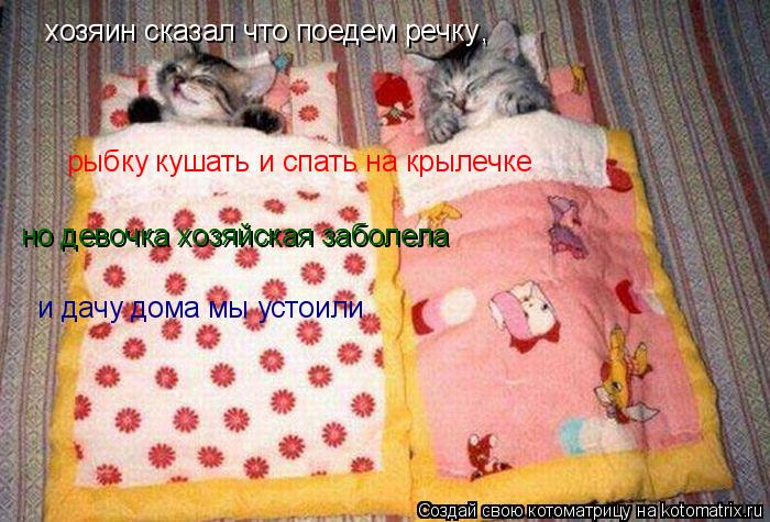 Котоматрица: хозяин сказал что поедем речку , рыбку кушать и спать на крылечке но девочка хозяйская заболела и дачу дома мы устоили