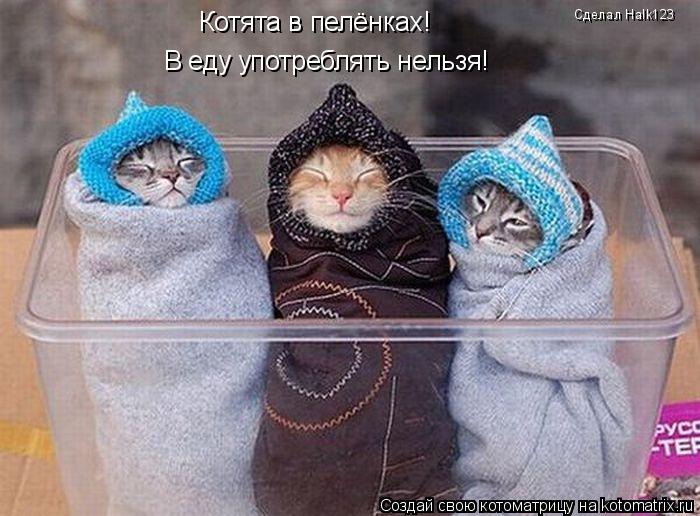 Котоматрица: Котята в пелёнках! В еду употреблять нельзя! Сделал Halk123