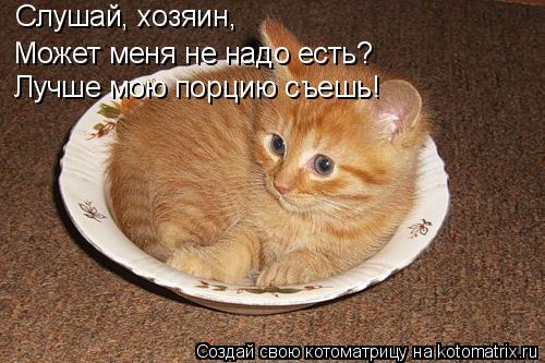 Котоматрица: Слушай, хозяин,  Может меня не надо есть? Лучше мою порцию съешь!