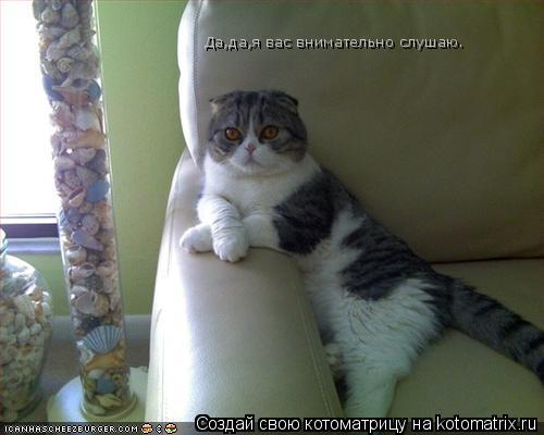 Котоматрица: Да,да,я вас внимательно слушаю.