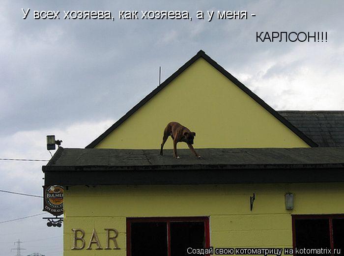 Котоматрица: У всех хозяева, как хозяева, а у меня -  КАРЛСОН!!!