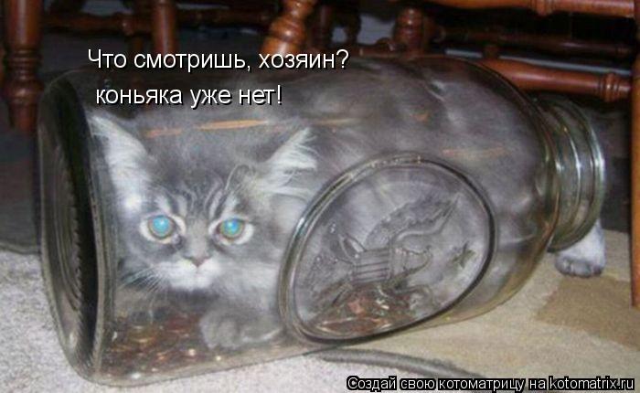 Котоматрица: Что смотришь, хозяин? коньяка уже нет!