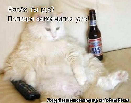 Котоматрица: Васёк, ты где? Попкорн закончился уже!