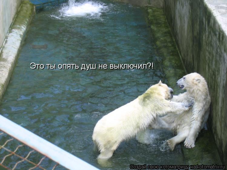 Котоматрица: Это ты опять душ не выключил?!