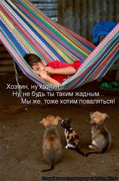 Котоматрица: Хозяин, ну хозяин.... Ну, не будь ты таким жадным... Мы же, тоже хотим поваляться!