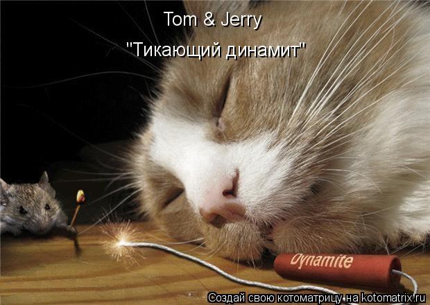 Котоматрица: Tom & Jerry "Тикающий динамит"