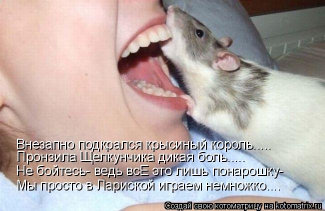 Котоматрица: Пронзила Щелкунчика дикая боль..... Внезапно подкрался крысиный король..... Не бойтесь- ведь всЕ это лишь понарошку- Мы просто в Лариской играе