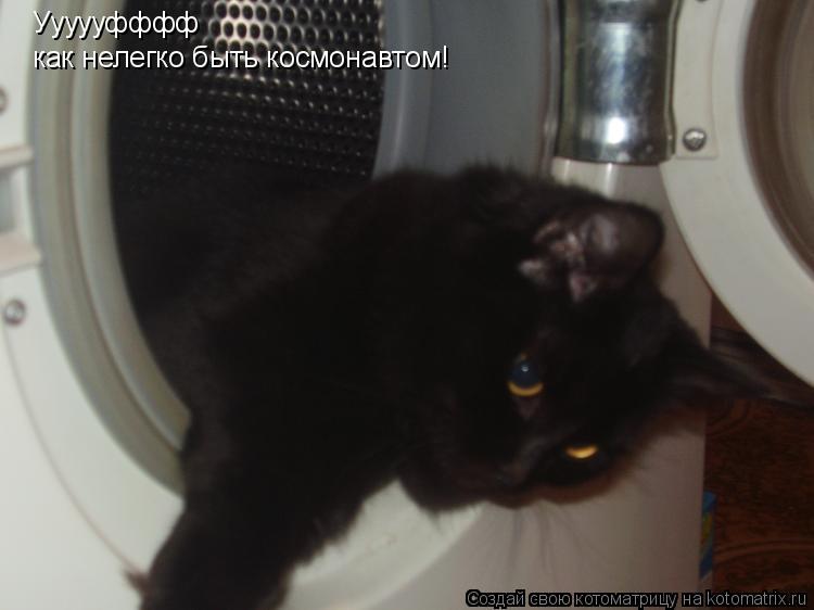 Котоматрица: Уууууфффф как нелегко быть космонавтом!