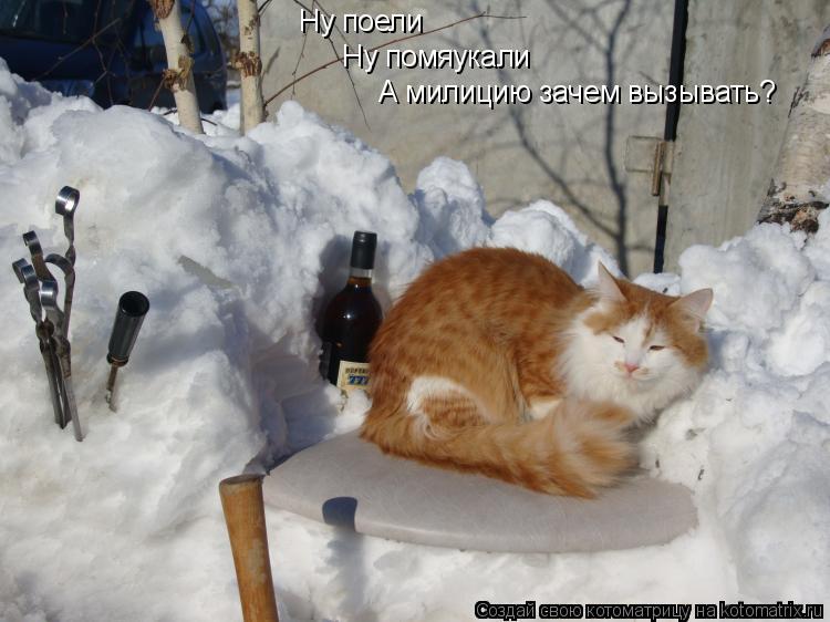 Котоматрица: Ну поели Ну помяукали А милицию зачем вызывать?