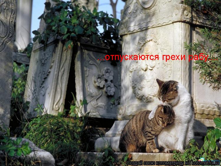 Котоматрица: ...отпускаются грехи рабу....