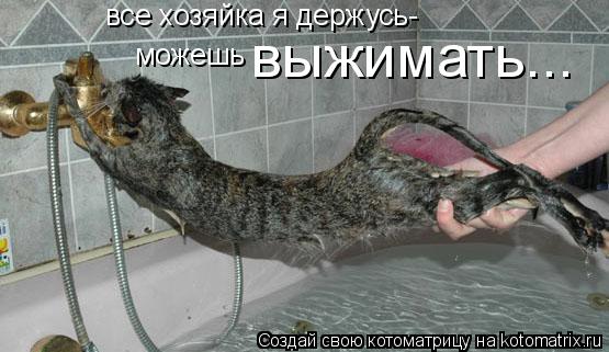 Котоматрица: все хозяйка я держусь- можешь  выжимать...
