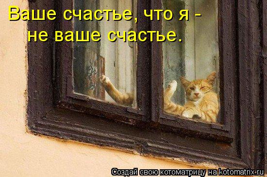 Котоматрица: Ваше счастье, что я - не ваше счастье.
