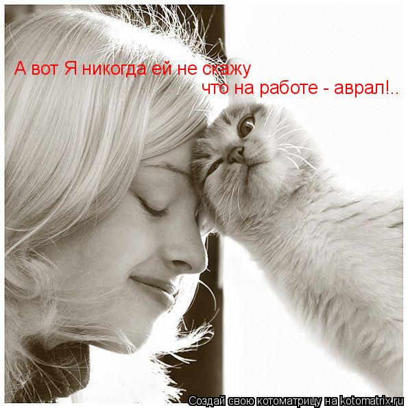 Котоматрица: А вот Я никогда ей не скажу что на работе - аврал!..