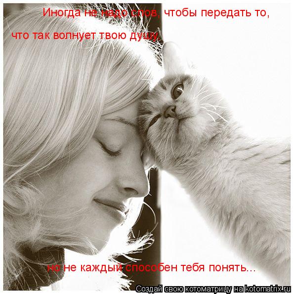 Котоматрица: Иногда не надо слов, чтобы передать то,  что так волнует твою душу. но не каждый способен тебя понять...