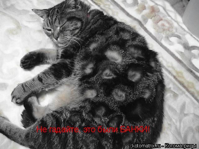 Котоматрица: Не гадайте, это были БАНКИ!