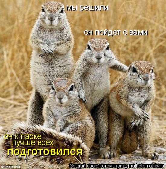 Котоматрица: он пойдет с вами мы решили он к паске лучше всех подготовился