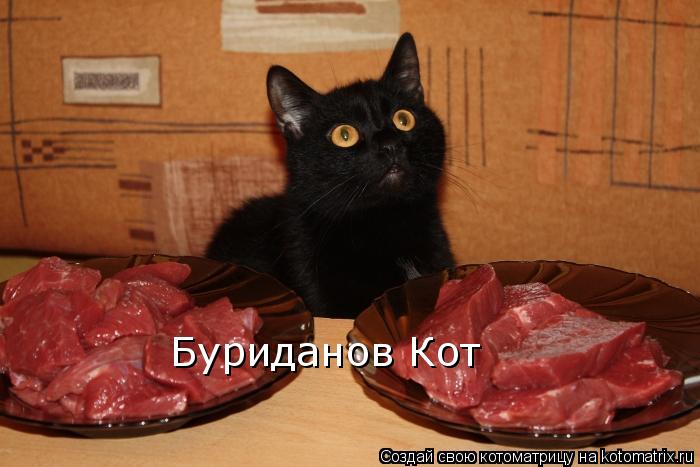 Котоматрица: Буриданов Кот
