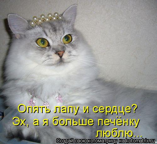 Котоматрица: Опять лапу и сердце? Эх, а я больше печенку люблю... ..