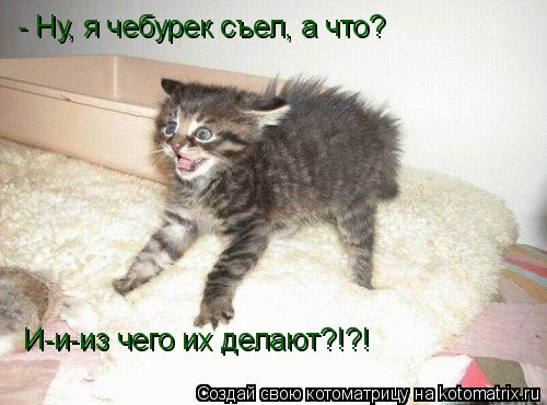 Котоматрица: - Ну, я чебурек съел, а что? И-и-из чего их делают?!?!