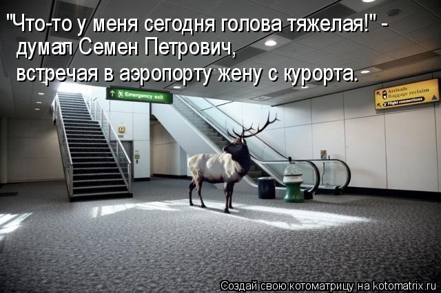 "Что-то у меня сегодня голова тяжелая!" - думал Семен Петрович, встречая в аэропорту жену с курорта.... Котоматрица: "Что-то у меня сегодня голова тяжелая!" - думал Семен Петрович, встречая в аэропорту жену с курорта.