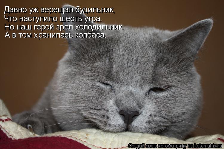 Котоматрица: Давно уж верещал будильник, Что наступило шесть утра. Но наш герой зрел холодильник, А в том хранилась колбаса.