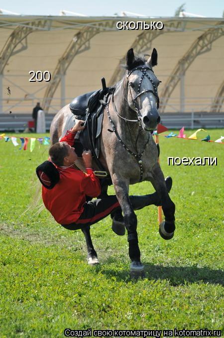 Котоматрица: сколько 200 поехали