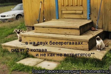 Котоматрица: ...а на двух бееерегаааах... ...сидят 2 котааа... ...и не как не встретятсо**