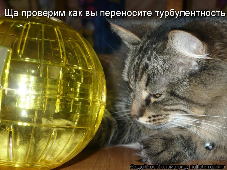 Котоматрица: Ща проверим как вы переносите турбулентность