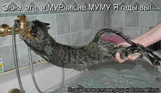 Котоматрица: Э-э-э, эта, я МУРчик,не МУМУ Я гады вы!