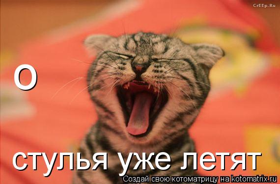 Котоматрица: о стулья уже летят