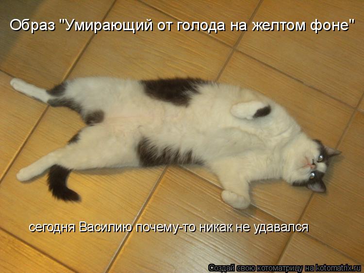 Котоматрица: Образ "Умирающий от голода на желтом фоне" сегодня Василию почему-то никак не удавался