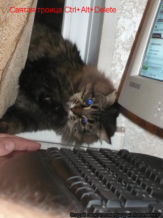 Котоматрица: Святая троица Ctrl+Alt+Delete