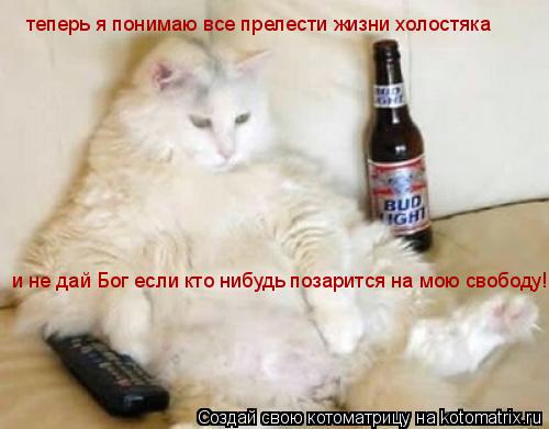 Котоматрица: теперь я понимаю все прелести жизни холостяка и не дай Бог если кто нибудь позарится на мою свободу!