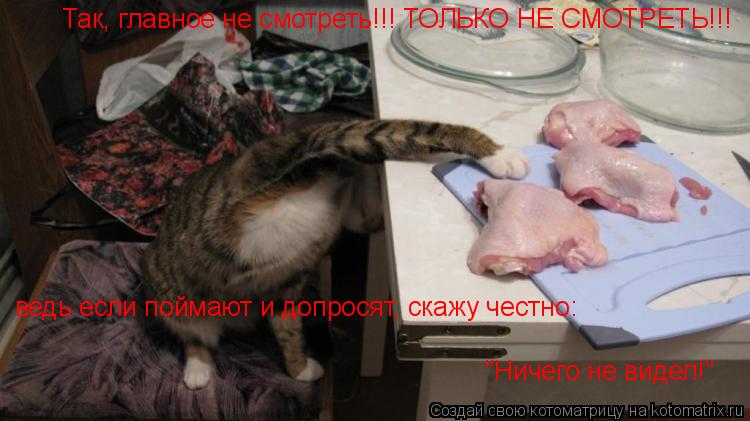 Так, главное не смотреть!!! ТОЛЬКО НЕ СМОТРЕТЬ!!! ведь если поймают и допросят, скажу честно: "Ничег... Котоматрица: Так, главное не смотреть!!! ТОЛЬКО НЕ СМОТРЕТЬ!!! ведь если поймают и допросят, скажу честно: "Ничего не видел!"