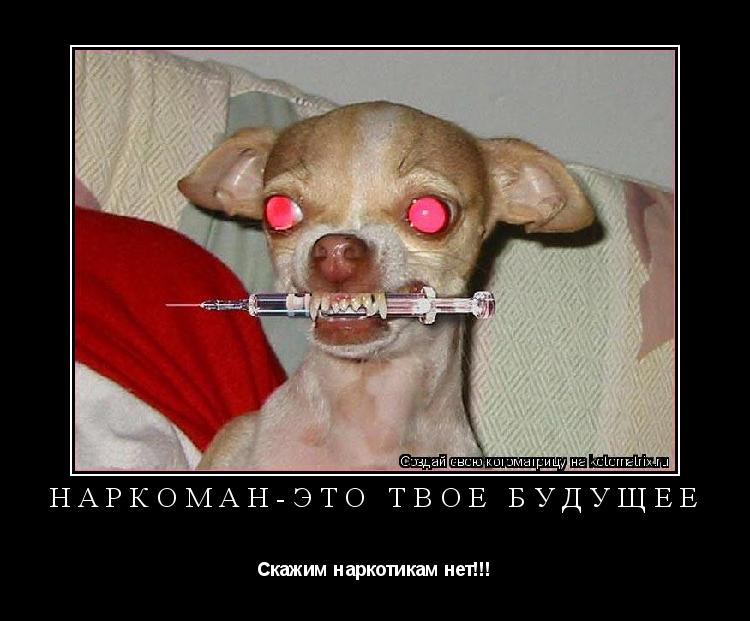 Котоматрица: Наркоман-это твоё будущее Скажим наркотикам нет!!!