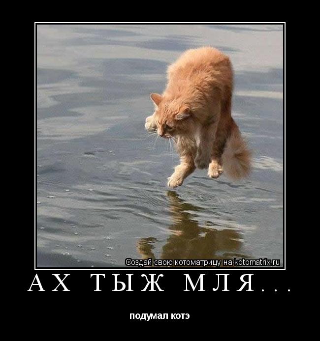 Котоматрица: Ах тыж мля... подумал котэ