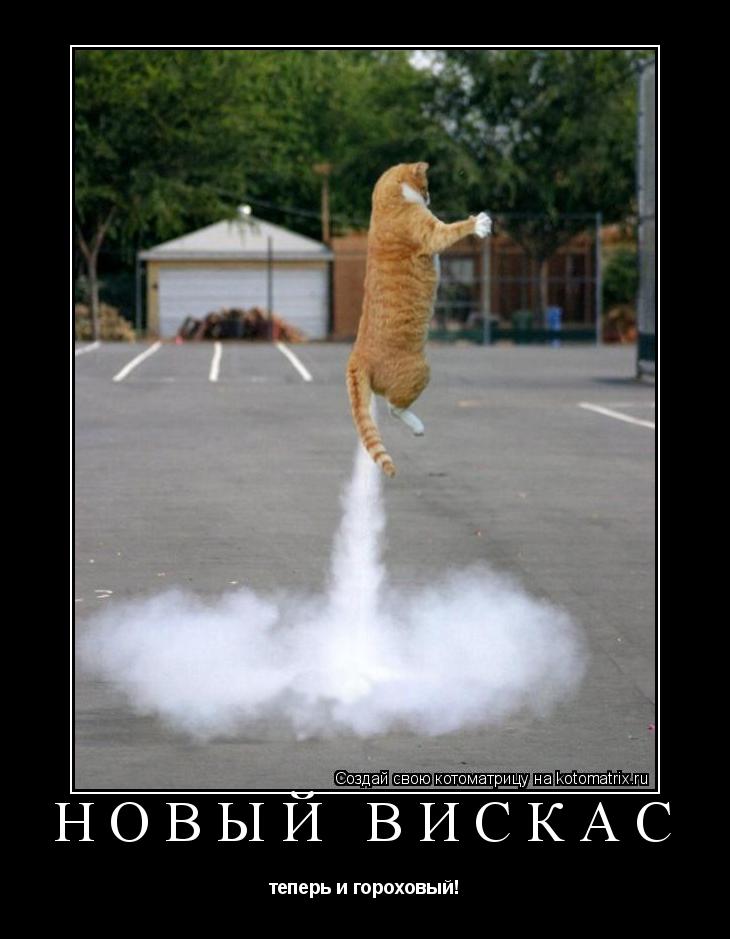 Котоматрица: Новый вискас теперь и гороховый!