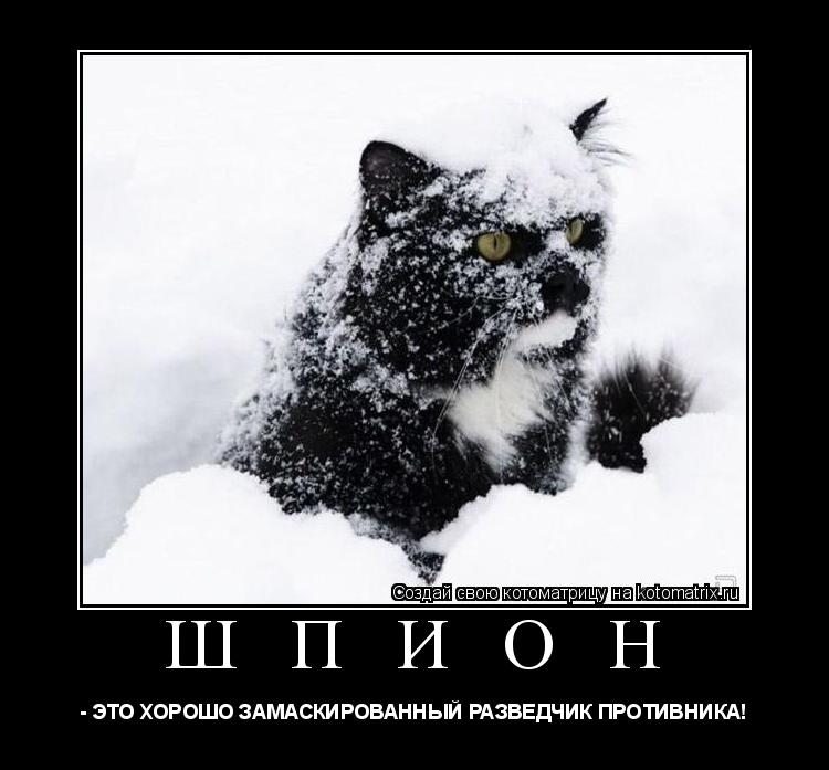 Котоматрица: Ш П И О Н  - ЭТО ХОРОШО ЗАМАСКИРОВАННЫЙ РАЗВЕДЧИК ПРОТИВНИКА!