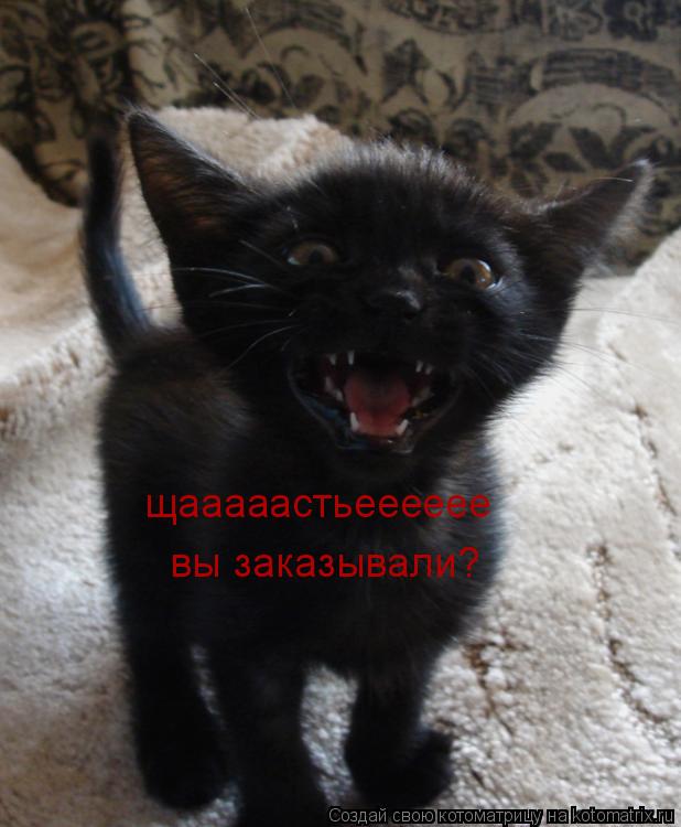Котоматрица: щааааастьееееее вы заказывали?
