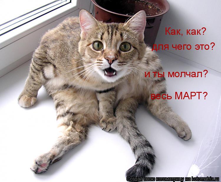 Котоматрица: Как, как? для чего это? и ты молчал? весь МАРТ?
