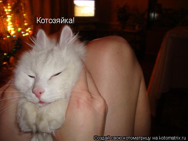 Котоматрица: Котозяйка!