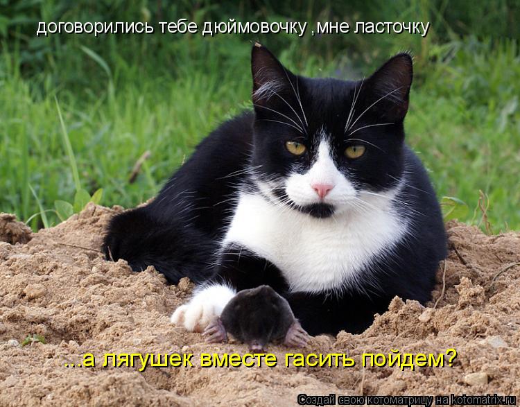 Котоматрица: договорились тебе дюймовочку ,мне ласточку ...а лягушек вместе гасить пойдем?