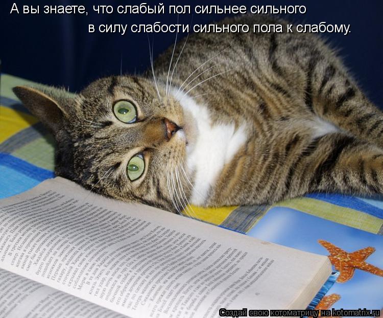 Котоматрица: А вы знаете, что слабый пол сильнее сильного в силу слабости сильного пола к слабому.